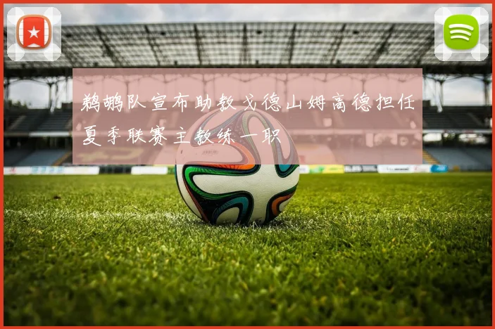 鹈鹕队宣布助教戈德山姆高德担任夏季联赛主教练一职