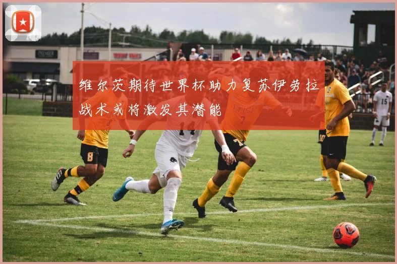 维尔茨期待世界杯助力复苏伊劳拉战术或将激发其潜能